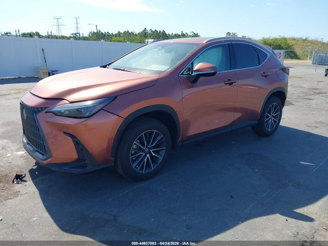 Lexus NX Premium
