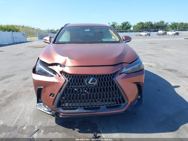 Lexus NX Premium