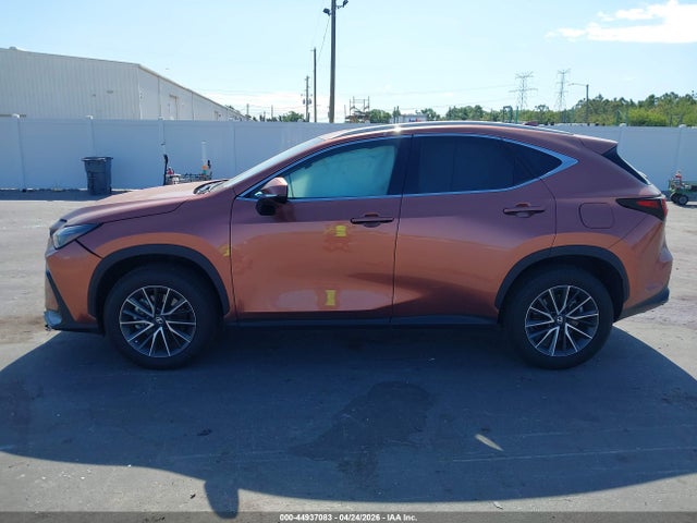 Lexus NX Premium