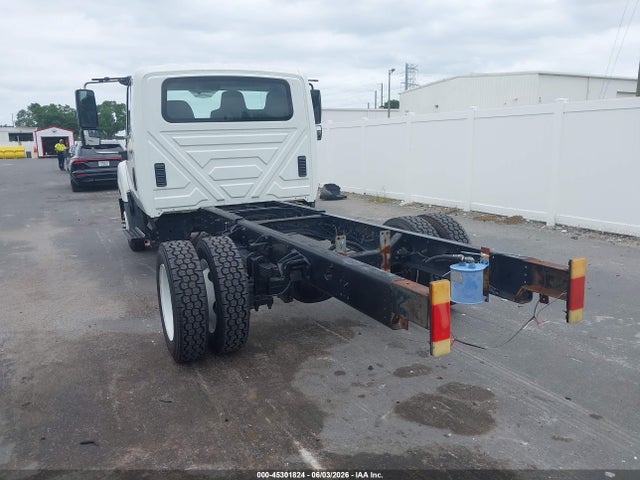 International Terrastar