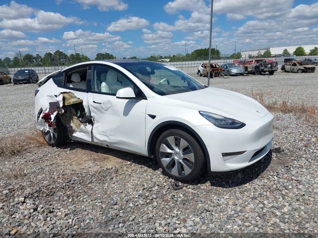Salvage Tesla Model Y Image