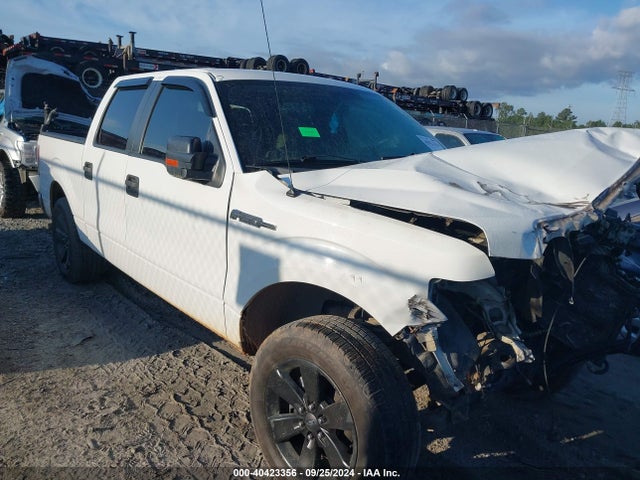 Salvage Ford F-150 Image
