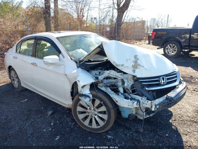 Salvage Honda Accord Image