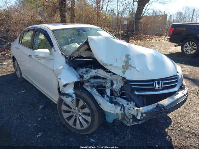 Honda Accord Ex-l