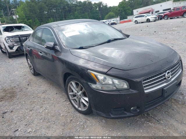 Salvage Nissan Maxima Image