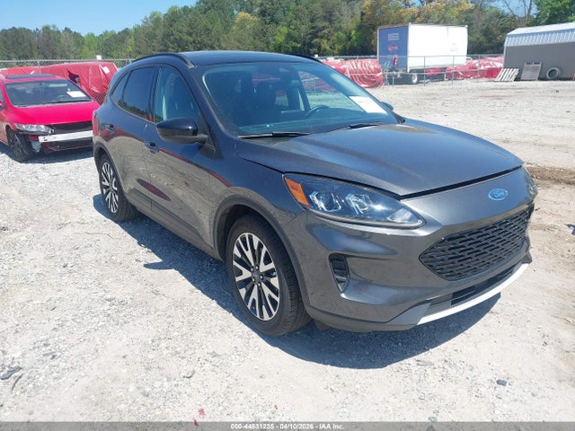 Salvage Ford Escape Image