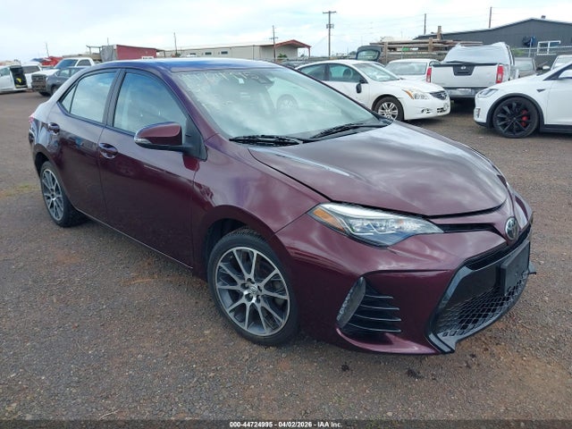 Salvage Toyota Corolla Image