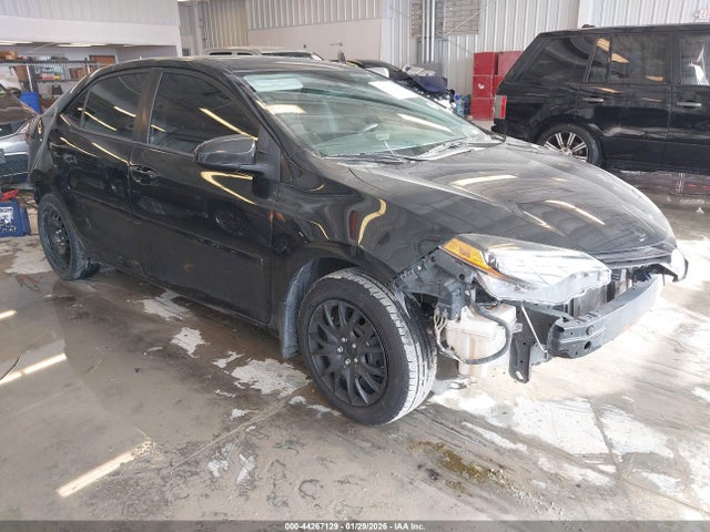 Salvage Toyota Corolla Image