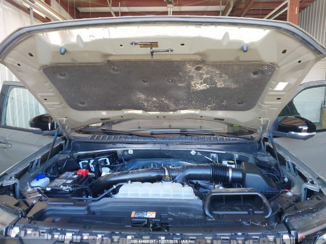 Ford Expedition Tremor