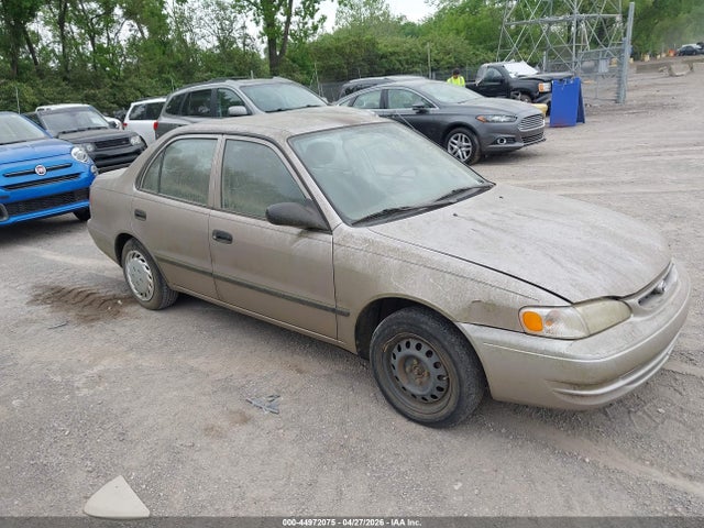 Salvage Toyota Corolla Image