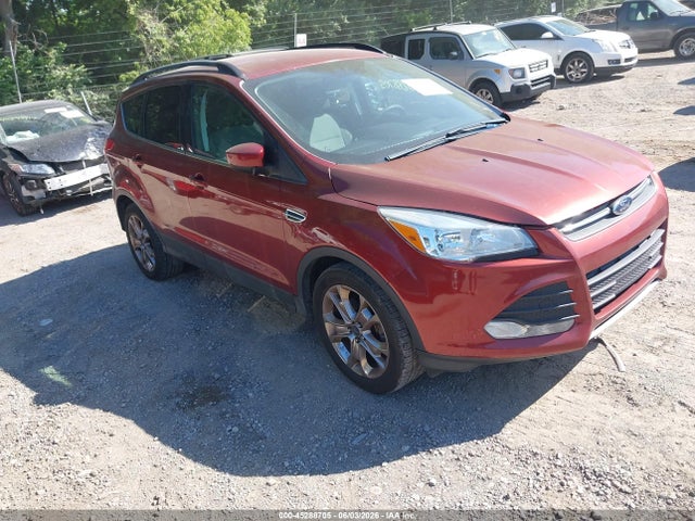 Salvage Ford Escape Image