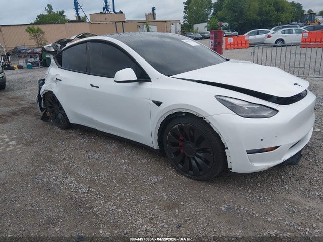 Salvage Tesla Model Y Image