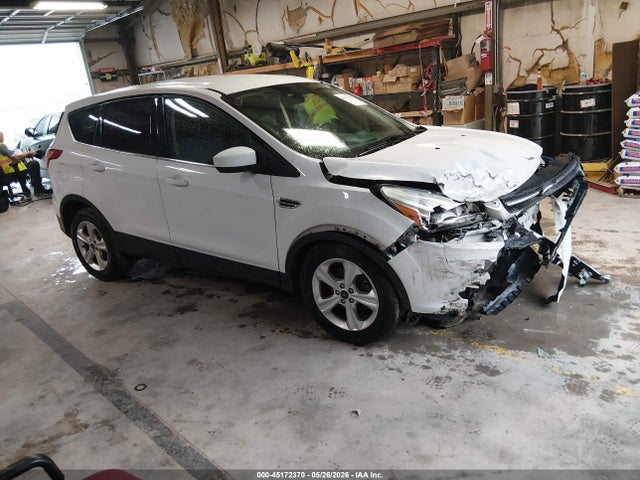 Salvage Ford Escape Image