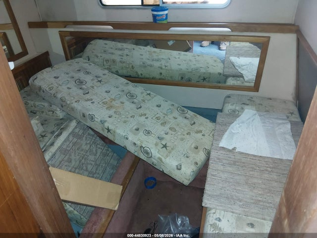 Sea Ray Other