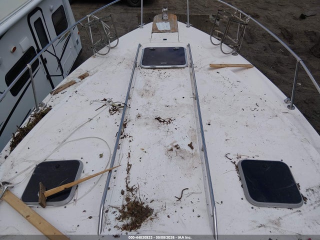Sea Ray Other