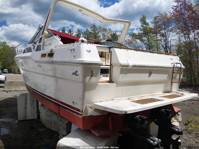 Sea Ray Other