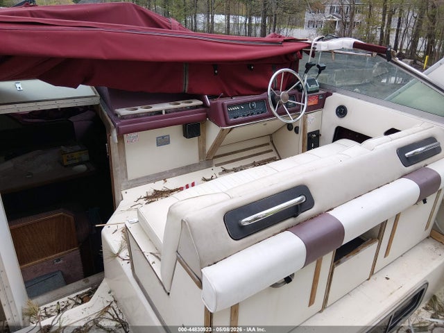 Sea Ray Other