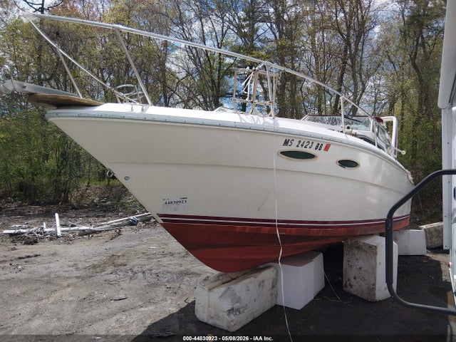 Sea Ray Other