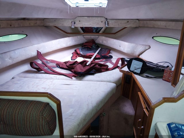 Sea Ray Other