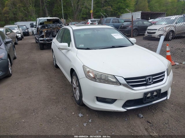 Salvage Honda Accord Image
