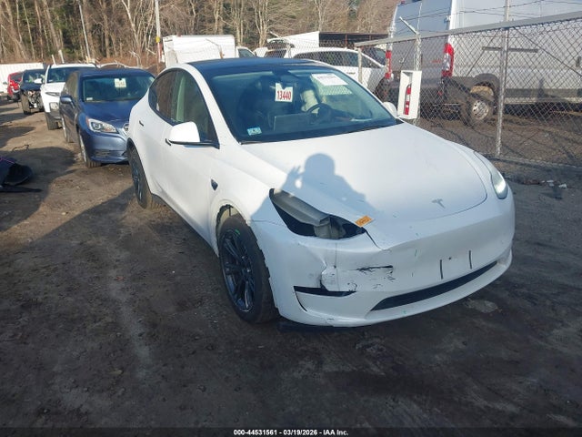 Salvage Tesla Model Y Image