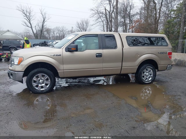 Ford F-150 Xlt