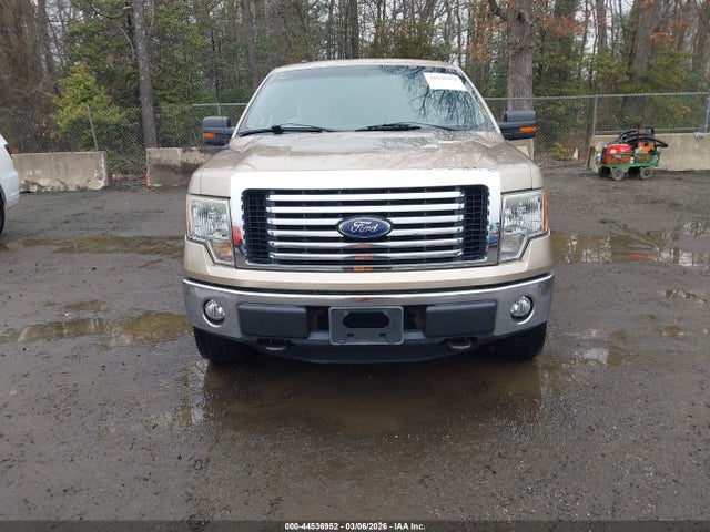 Ford F-150 Xlt