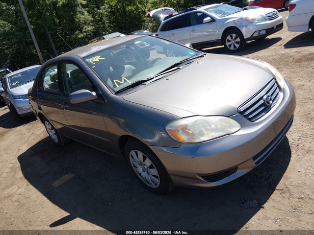 Salvage Toyota Corolla Image