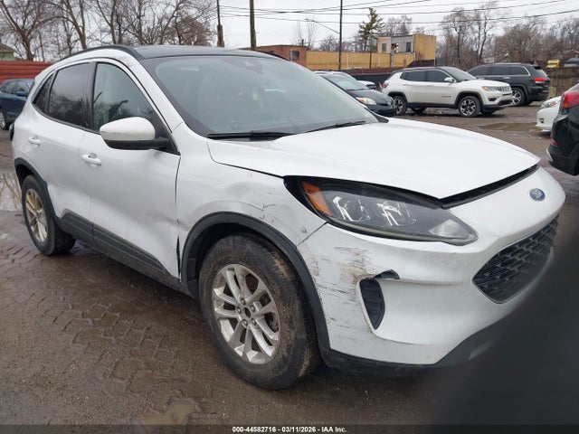 Salvage Ford Escape Image