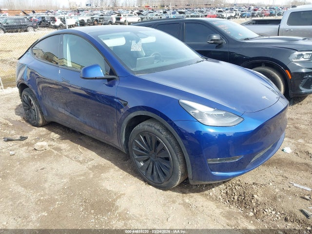 Salvage Tesla Model Y Image