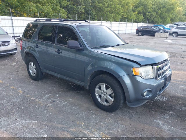 Salvage Ford Escape Image