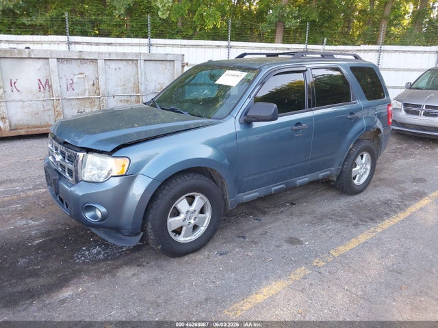 Ford Escape Xlt