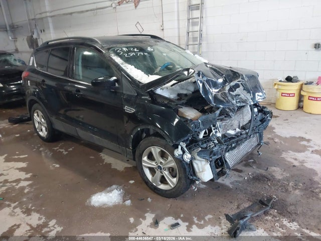 Salvage Ford Escape Image