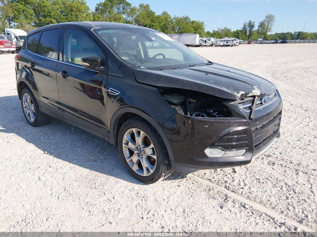 Salvage Ford Escape Image