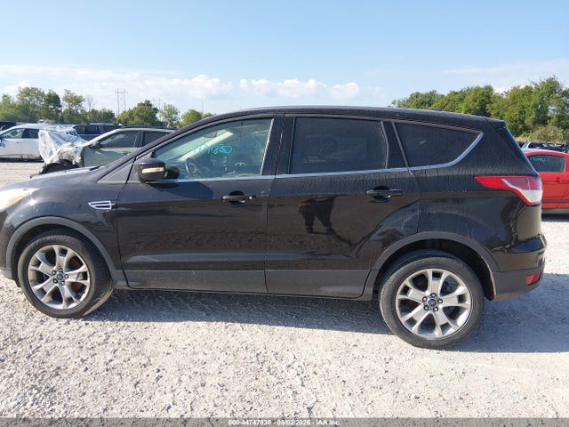 Ford Escape Sel