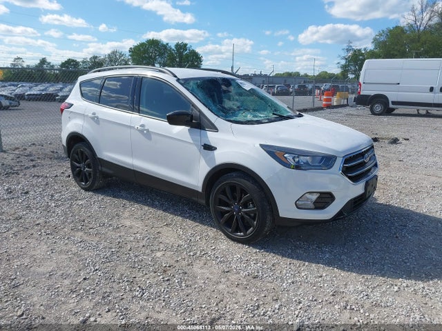 Salvage Ford Escape Image