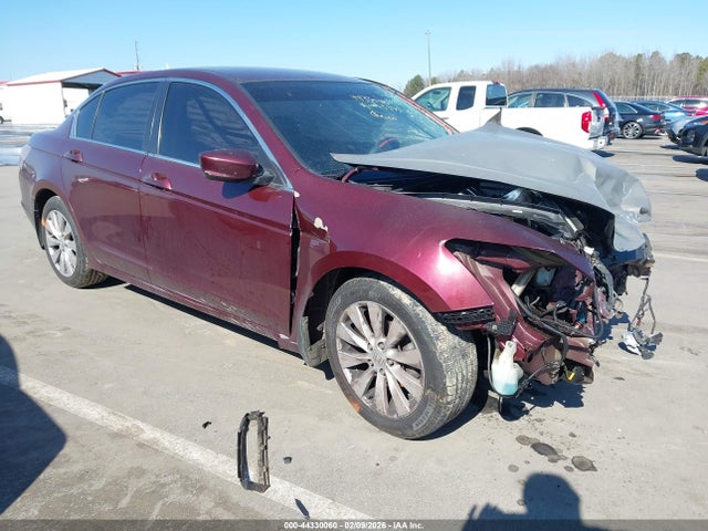 Salvage Honda Accord Image