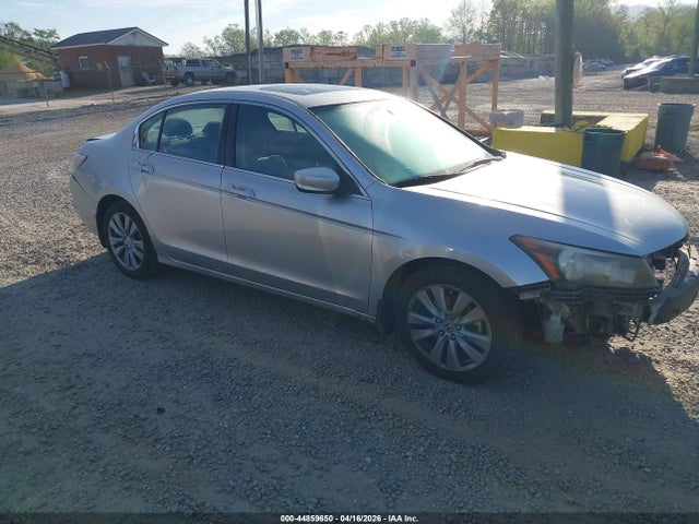 Salvage Honda Accord Image