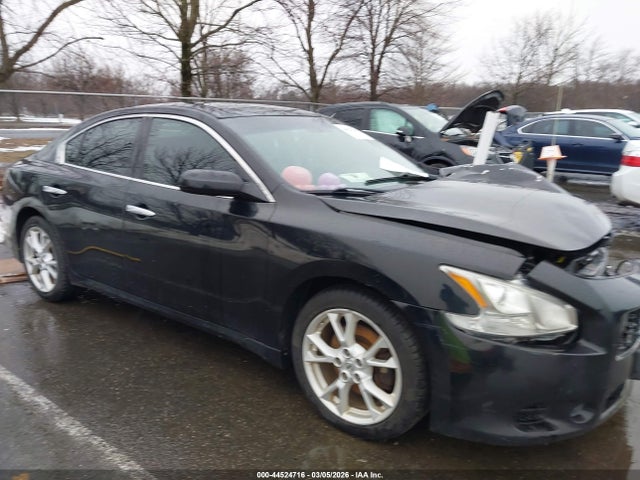 Salvage Nissan Maxima Image