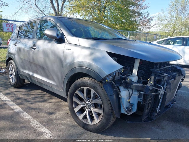 Salvage Kia Sportage Image