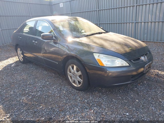Salvage Honda Accord Image