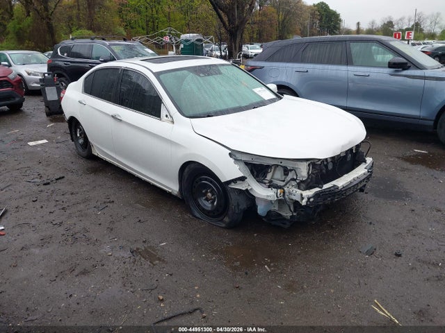 Salvage Honda Accord Image