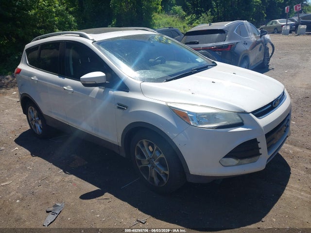 Salvage Ford Escape Image