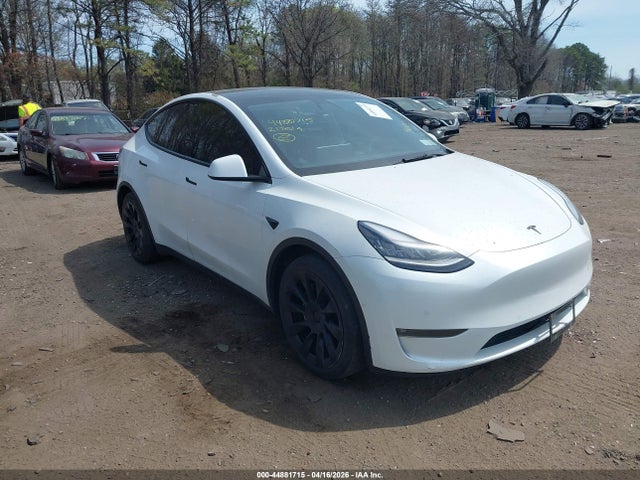 Salvage Tesla Model Y Image