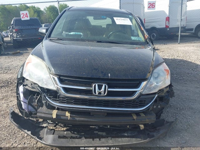 Honda CR-V Ex-l