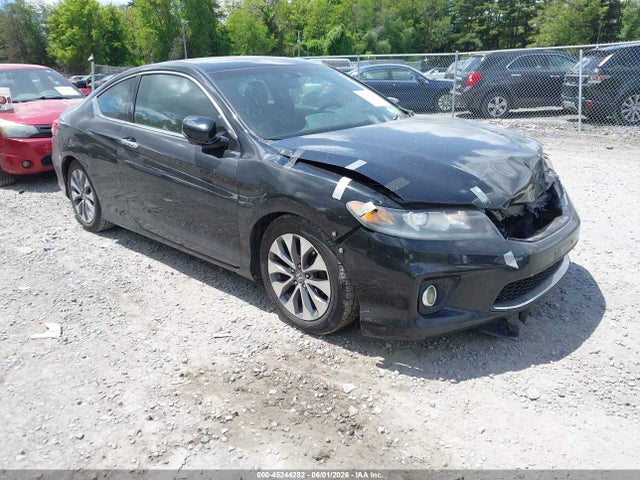 Salvage Honda Accord Image
