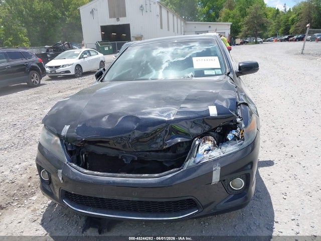 Honda Accord Ex-l