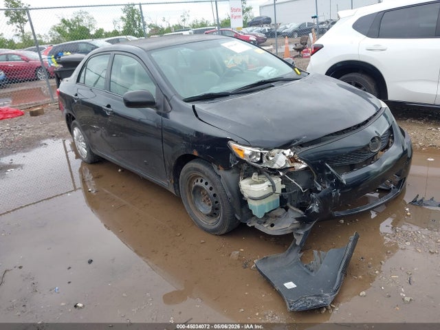 Salvage Toyota Corolla Image