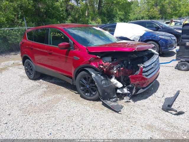 Salvage Ford Escape Image