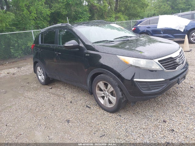 Salvage Kia Sportage Image
